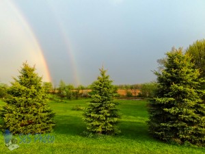 Brief Rainbow