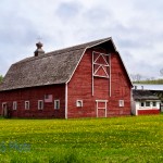 Retired Barn Loft Door