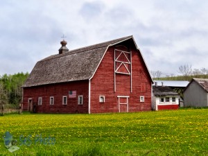 Retired Barn Loft Door