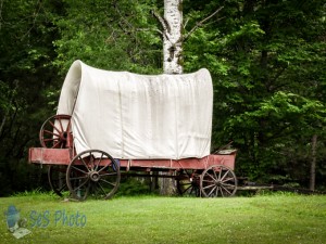 Covered Wagon