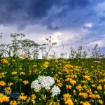 Sunday Summer Storm