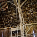 Playing in the Barn