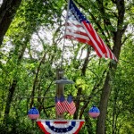 Independence Day Flags