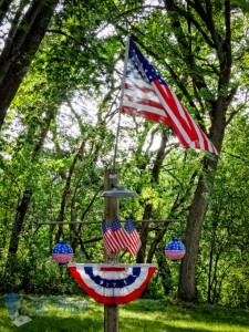 Independence Day Flags