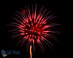 Flower Firework