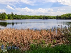 Interfalls Lake