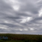 Cloudy Autumn Day