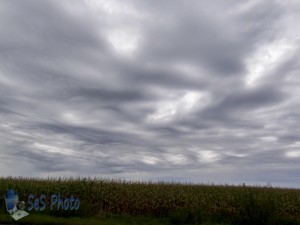 Cloudy Autumn Day