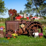 Old McCormick-Deering Tractor