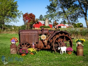 Old McCormick-Deering Tractor