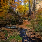 Pretty Ravine in Durward's Glen