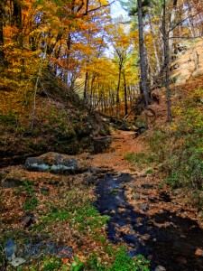 Pretty Ravine in Durward's Glen