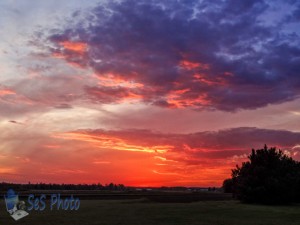 Cranberry Sunset