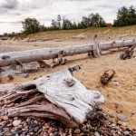 Didn't Reach Whitefish Point