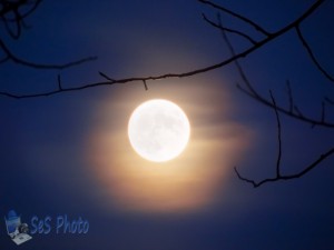 Colorful Moon