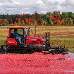 Sea of Red