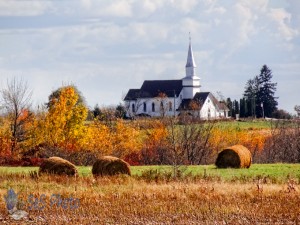 Autumn Sunday