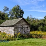 Weathered Shed