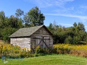 Weathered Shed