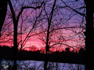 Winter Painted Sky