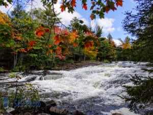 Cascades Before Bond Falls