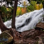 Colorful Bond Falls