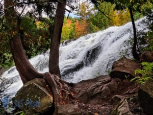 Colorful Bond Falls