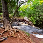 Top of Snake Pit Falls