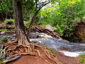 Top of Snake Pit Falls