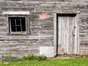 Patched Shed Door