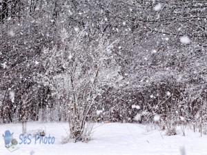 Huge Snowflakes