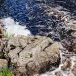 Fishing on a Warm Day