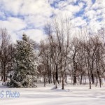 Springtime Snow