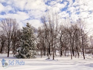 Springtime Snow