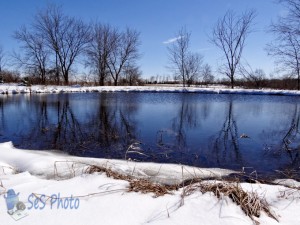 Springtime Snow at the Pond