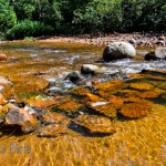 Siskiwit River Flowing Over Rocks