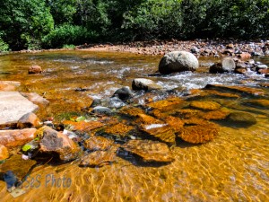 Siskiwit River Flowing Over Rocks