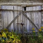 Old Shed Doors