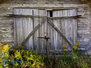 Old Shed Doors