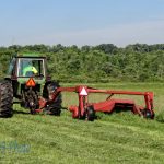 Cutting Hay