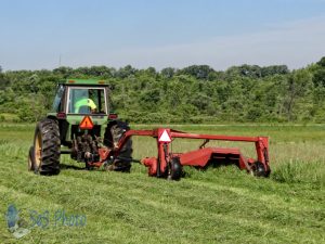 Cutting Hay