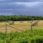 Baled Before the Rain