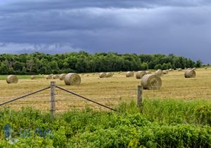 Baled Before the Rain