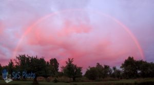 Pink Rainbow