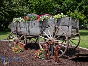 Old Wagon