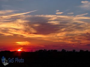 August Sunset