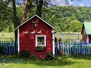 Interesting Shed