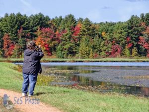 An Autumn Walk