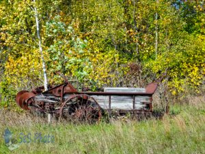 Spreading Autumn