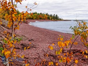 Autumn Beach